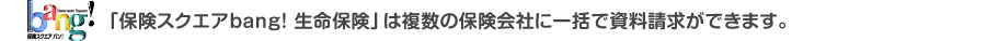「保険スクエアbang! 生命保険」は複数の保険会社に一括で資料請求ができます。