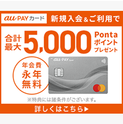 au PAY カード 新規入会＆ご利用で合計最大5,000Pontaポイントプレゼント 年会費永年無料 ※特典には諸条件がございます。 詳しくはこちら