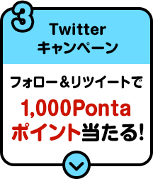 3　Twitterキャンペーン　フォロー&リツイートで1,000Pontaポイント当たる！