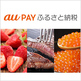 au PAY ふるさと納税