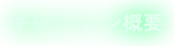 キャンペーン概要