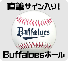 イメージ画像 選手サイン入りボール