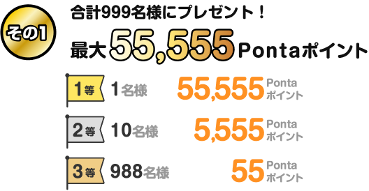その1 合計999名様にプレゼント!最大55,555Pontaポイント 1等 1名様 55,555Pontaポイント、2等 10名様 5,555Pontaポイント、3等 988名様 55Pontaポイント