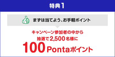 【特典1】まずは当てよう、お手軽ポイント キャンペーン参加者の中から抽選で2,500名様に100Pontaポイント