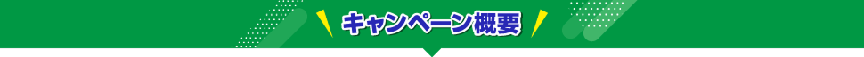 キャンペーン概要