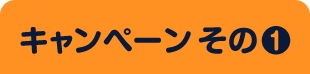 キャンペーン その1