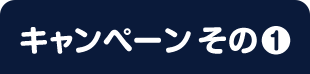 キャンペーン その1