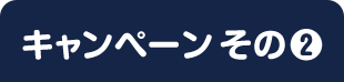 キャンペーン その2