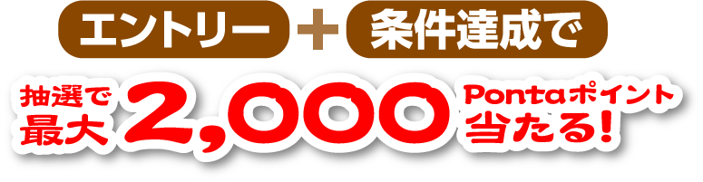 エントリー＋条件達成で 抽選で最大2,000Pontaポイント当たる!