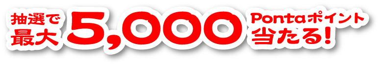 抽選で最大5,000Pontaポイント当たる!
