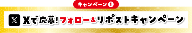 キャンペーン1 Xで応募！フォロー＆リポストキャンペーン