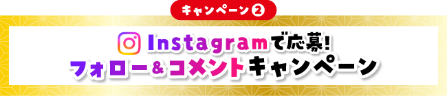 キャンペーン2 Instagramで応募！フォロー＆コメントキャンペーン