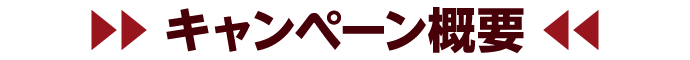 キャンペーン概要