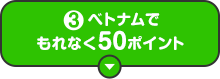 3 ベトナムでもれなく50ポイント