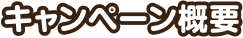 キャンペーン概要