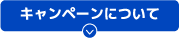 キャンペーンについて