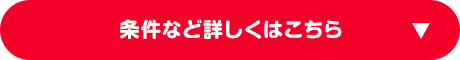 条件など詳しくはこちら