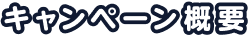 キャンペーン概要