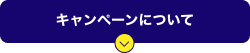 キャンペーンについて