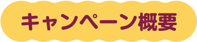 キャンペーン概要