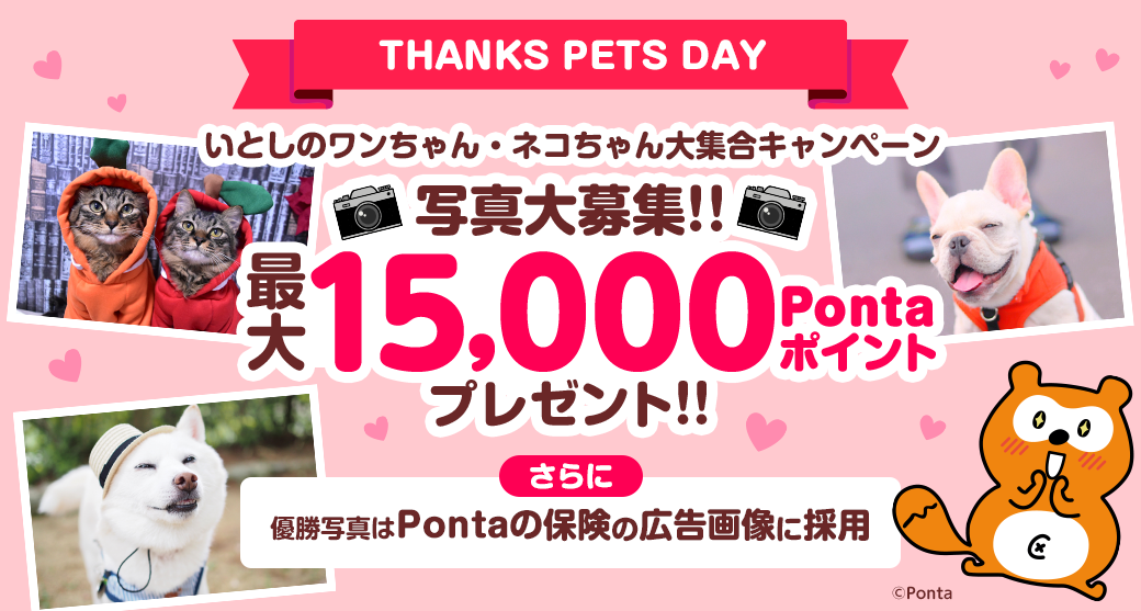 「THANKS PETS DAY」 いとしのワンちゃん・ネコちゃん大集合キャンペーン 最大15,000Pontaポイントプレゼント さらに優勝写真はPontaの保険の広告画像に採用