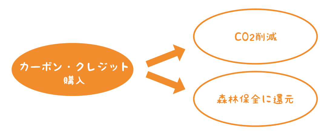 カーボン・クレジット購入→CO2削減→森林保全に還元