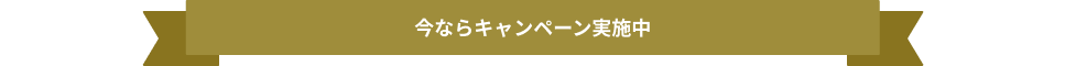 今ならキャンペーン実施中