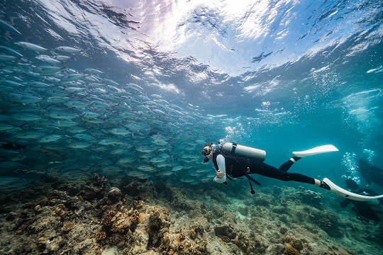 マレーシアの写真