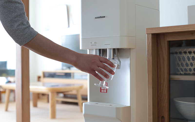 amadanaスタンダードサーバー 写真5