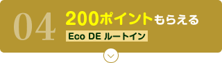 04 200ポイントもらえる Eco DE ルートイン