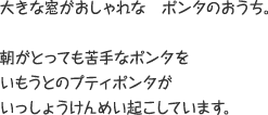 大きな窓がおしゃれなポンタのおうち。 朝がとっても苦手なポンタをいもうとのプティポンタがいっしょうけんめい起こしています。